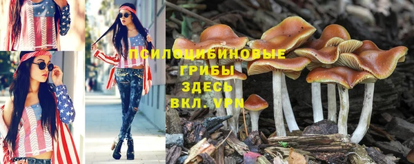 не бодяженный Баксан
