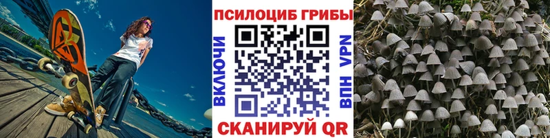 Псилоцибиновые грибы мицелий  Орлов 