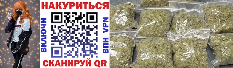 Бошки марихуана Amnesia где найти наркотики Орлов